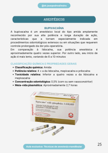 Captura de Tela 2026-02-08 às 22.23.33